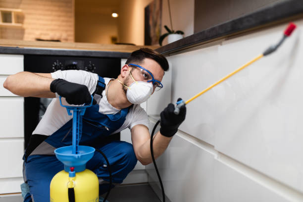 Best Flea Control Services  in Carlisle, IA