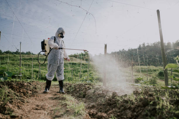 Best Pest Prevention Services  in Carlisle, IA