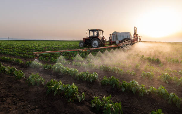 Trusted Carlisle, IA Pest Control Experts