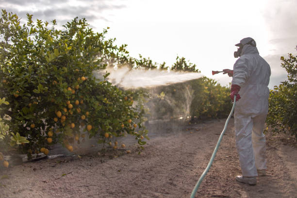 Best Local Pest Control Services  in Carlisle, IA