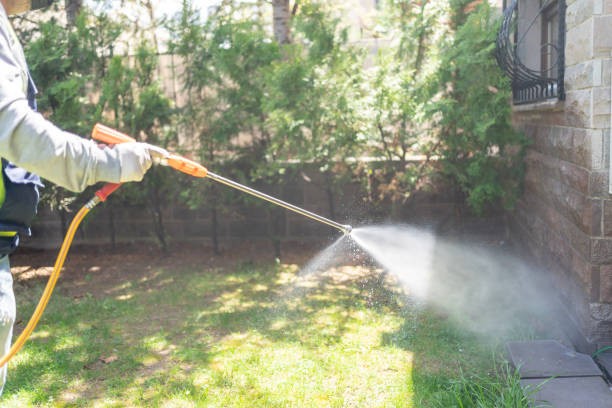 Best Spider Control Near Me  in Carlisle, IA