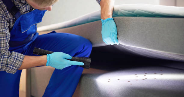 Best Mosquito Control Services  in Carlisle, IA