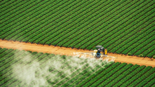 Best Ant Control Services  in Carlisle, IA