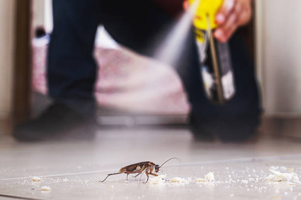 Best Best Pest Control Companies  in Carlisle, IA