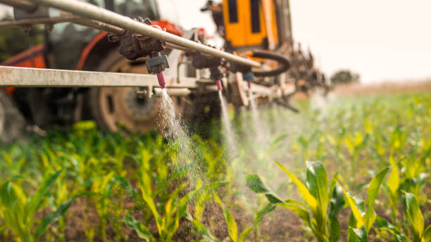 Best Pest Inspection Near Me  in Carlisle, IA
